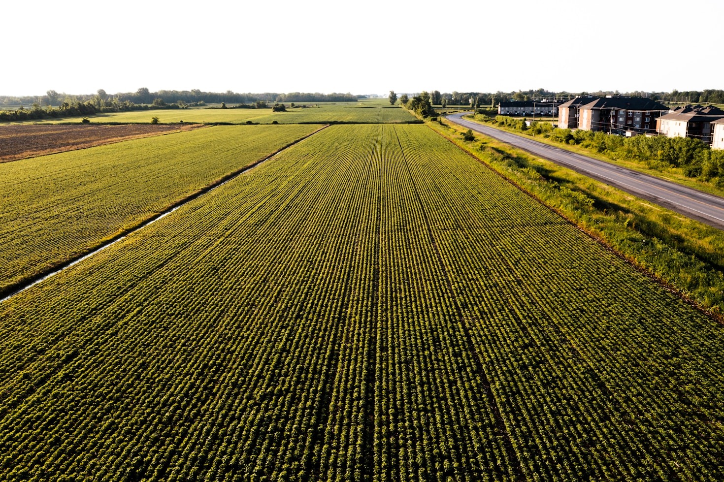 Seasonal Recipes: Making the Most of Fresh Produce