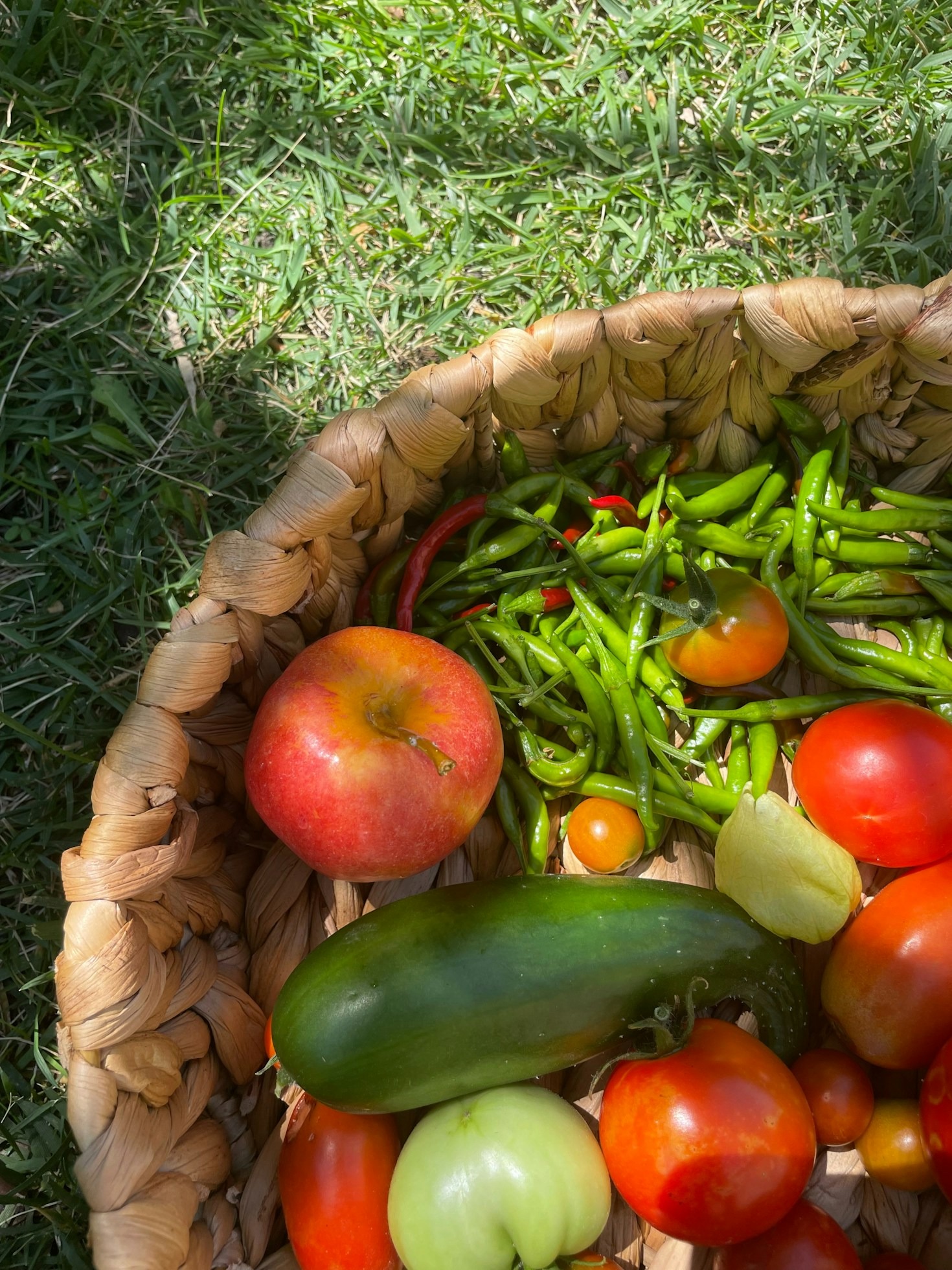 How to Prepare for Your Farmers’ Market Visit
